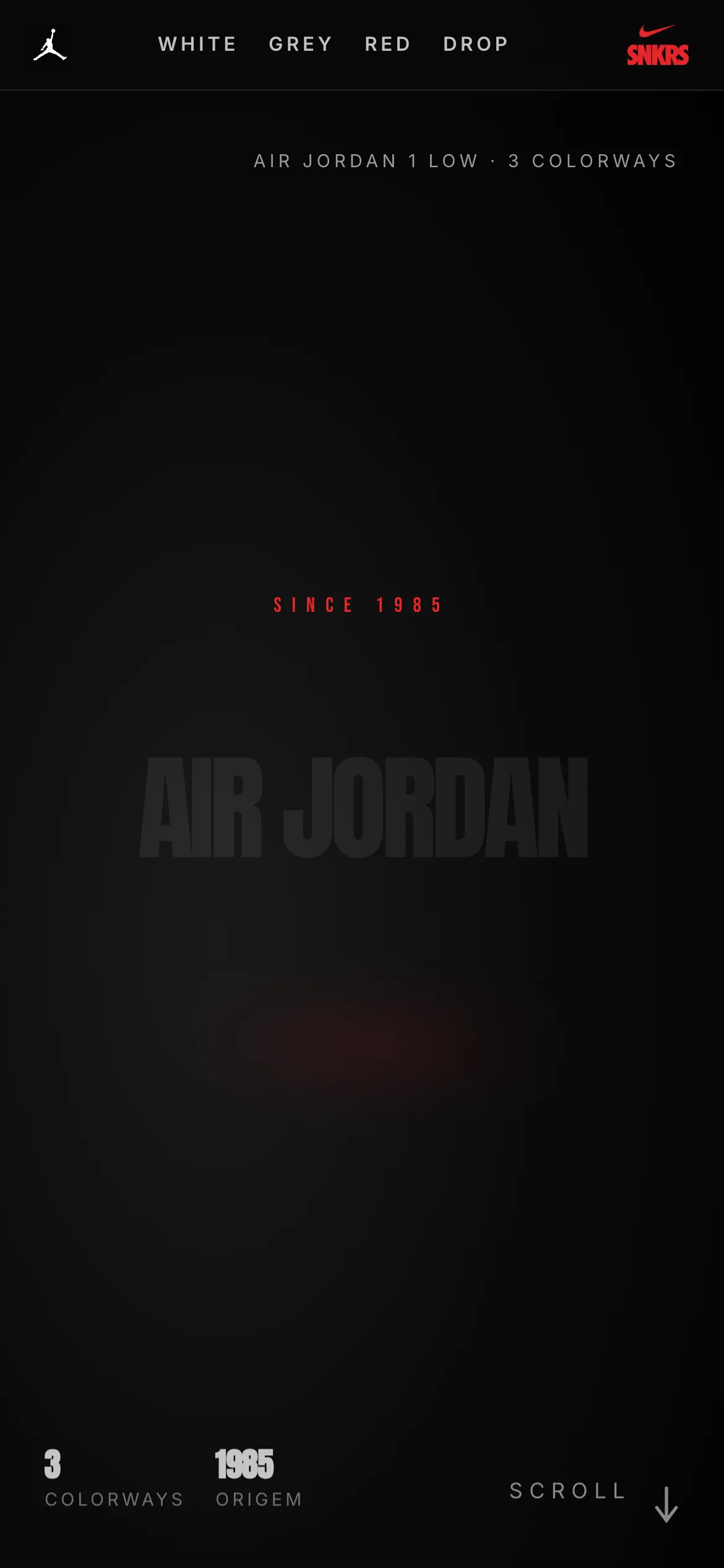 Air Jordan